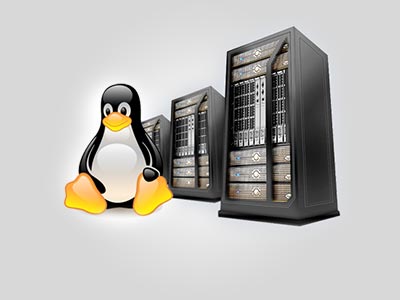 Linux Server Hosting
