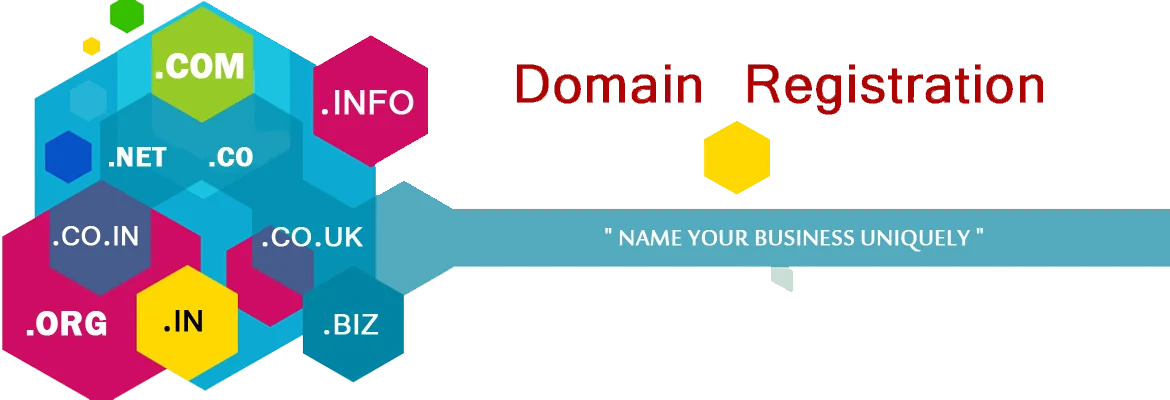 Saudi National Domains